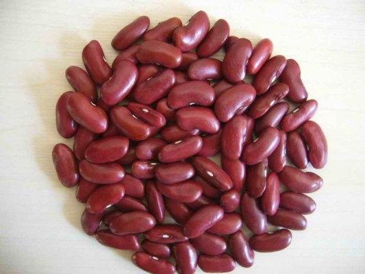 Đậu đỏ hạt to - Hạt Dinh Dưỡng An Khang - Công Ty Cổ Phần Thực Phẩm An Khang
